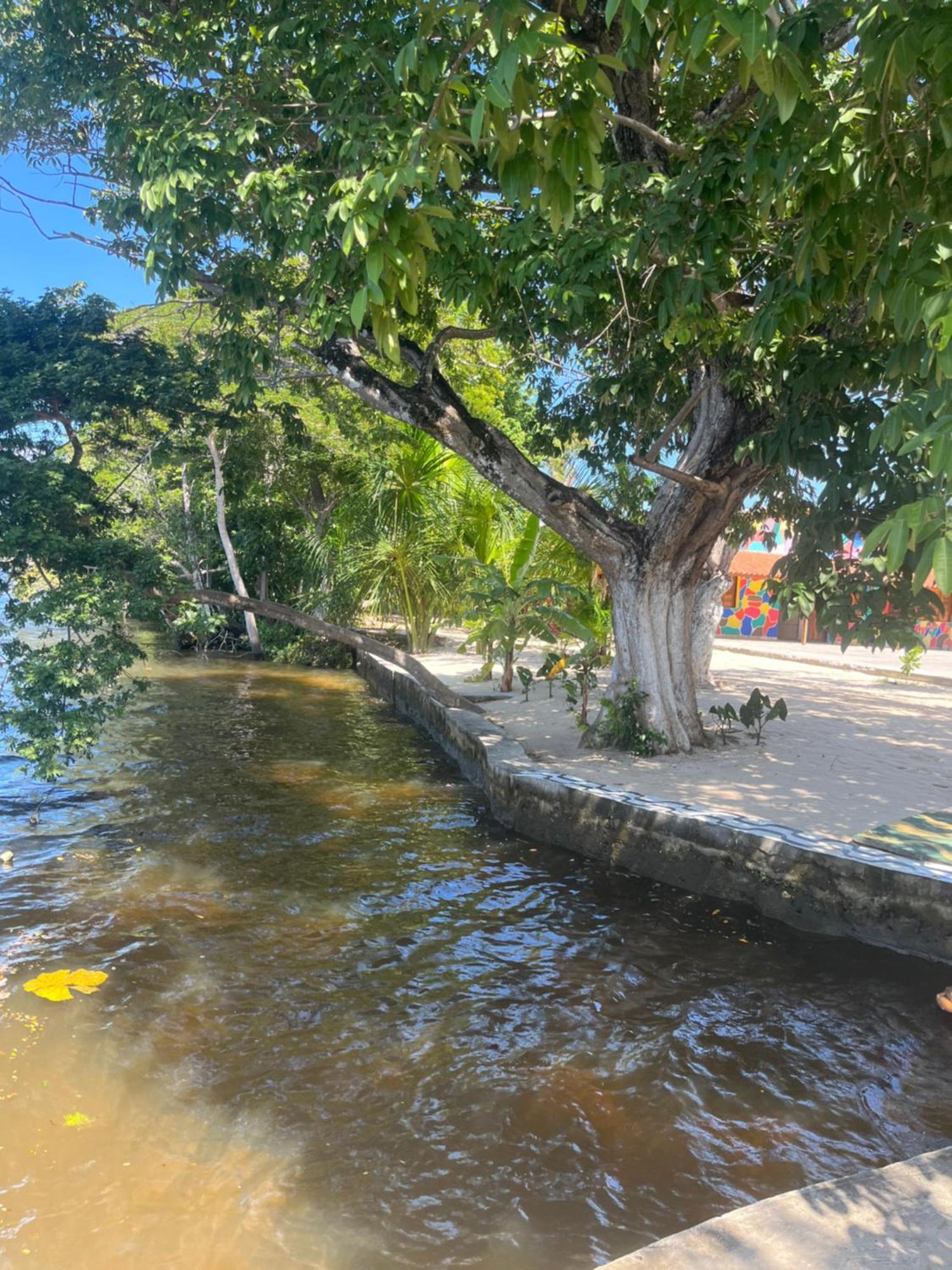 Pousada Paraiso Cultural Barreirinhas Exteriör bild